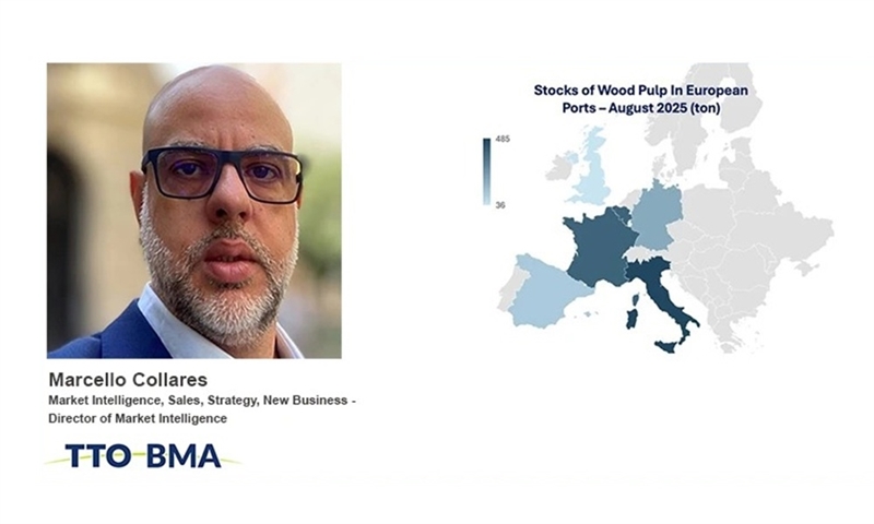 Understanding European Pulp Port Inventories