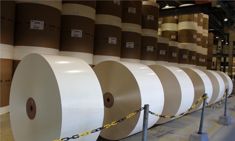 Sappi recognised in the Forbes magazine World’s Best Employers