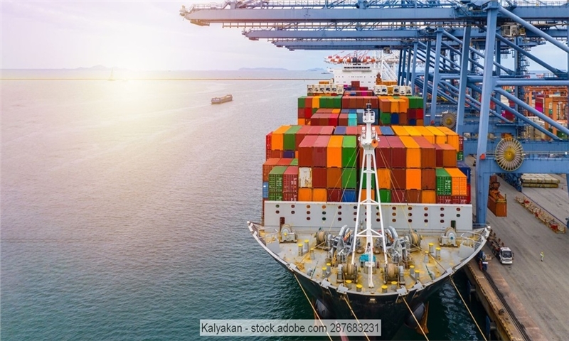 China tightens specifications for dry-pulp imports