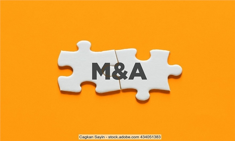 Palm acquires 50 per cent stake in Power Packaging