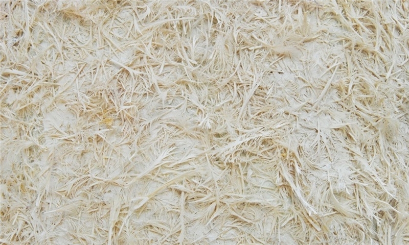 شرکت Fibre Excellence به پروژه چاپل داربلی Chapelle Darblay پایبند می‌ماند.