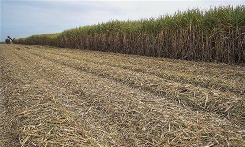 کاهش مصرف کاغذ با اجرای سامانه مدیریت زمین